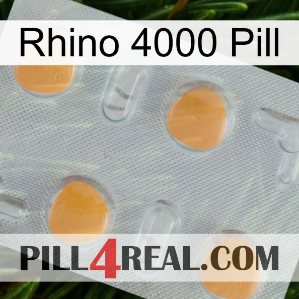 Rhino 4000 Pill 24.jpg